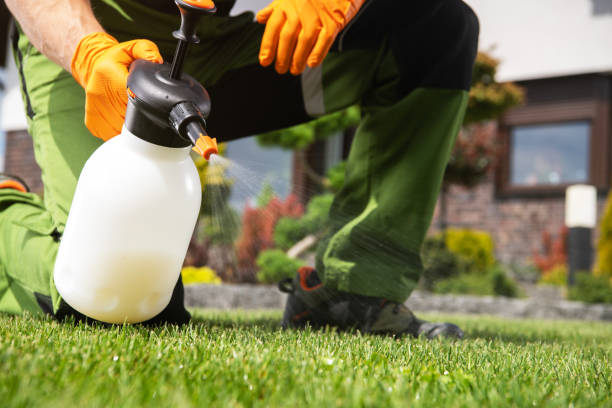 Best Best Pest Control Companies  in Commack, NY