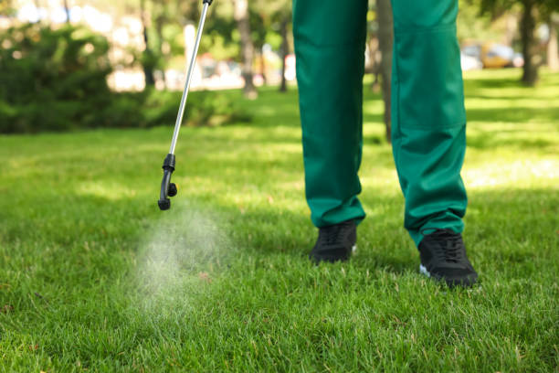 Best Wildlife Control Services  in Commack, NY