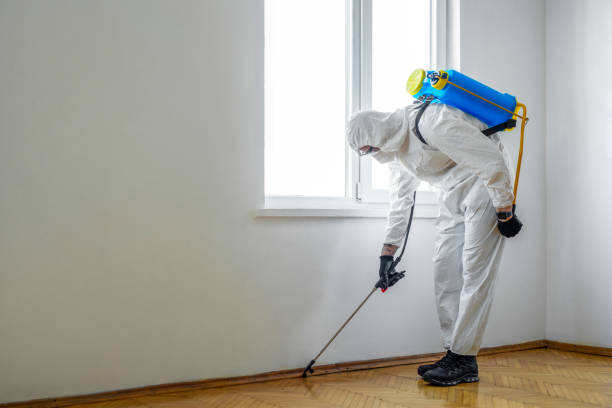 Best Pest Removal Services  in Commack, NY