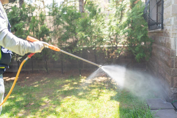 Reliable Commack, NY Pest Control Solutions