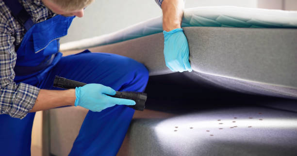 Best Mosquito Control Services  in Commack, NY