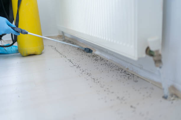 Best Best Pest Control Companies  in Commack, NY