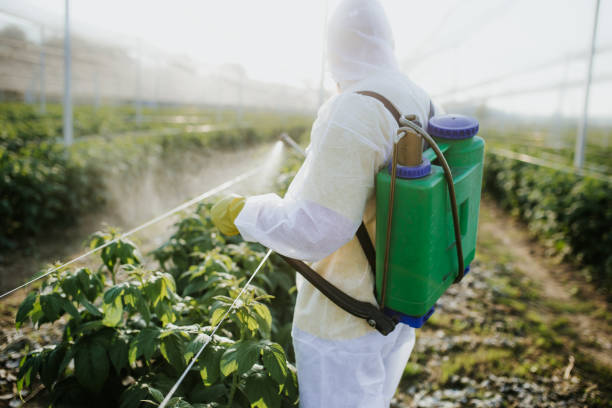 Best Exterminator Services  in Commack, NY